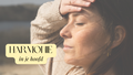 Webinar Harmonie in je Hoofd